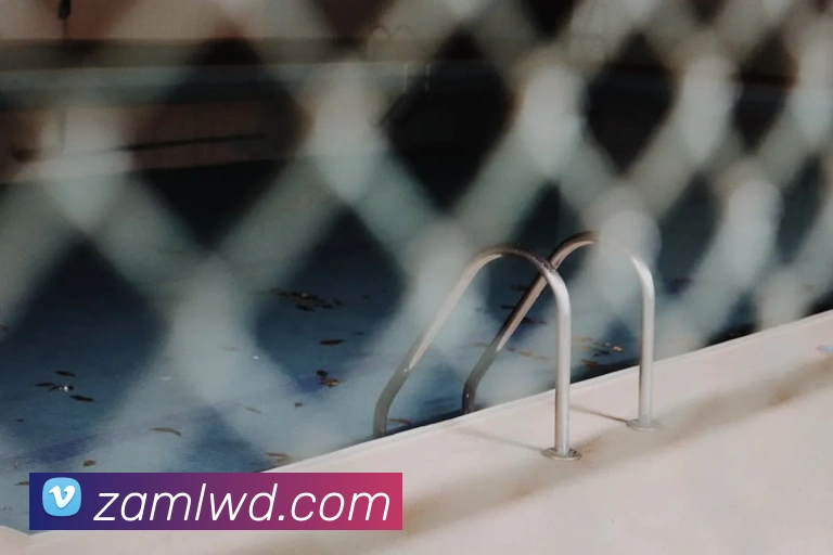 问鼎娱乐APP 封面图